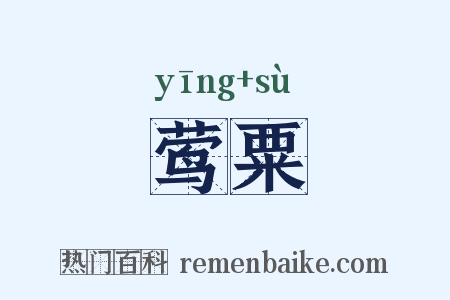 莺粟是什么意思的图片